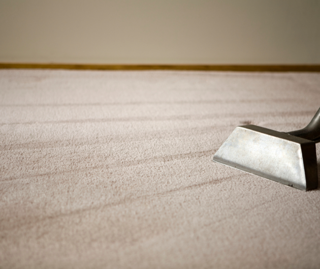 Spotless Carpet Cleaning And More Providing The Best Possible Services In Greenville Sc Surrounding Areas