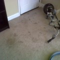 Carpet cleaning greenville
