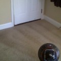 Carpet cleaning greenville