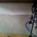 Carpet cleaning greenville