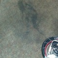 Carpet cleaning greenville