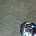 Carpet cleaning greenville