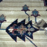 Rug Stain Removal
