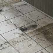 Tile and Grout Cleaning